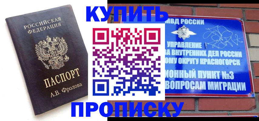 прописка поиск в Тольятти